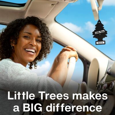 LITTLE TREES Car Air Freshener | Hanging Tree Provides Long Lasting Scent for Auto and Home | 24 Air Fresheners |Morning Fresh - Image 3
