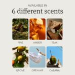 Drift Metal Vent Clip Starter Kit - Car Air Freshener - Scent Diffuser for Car - Metal Odor Eliminator - Pine - Image 3