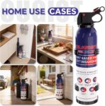 ABC Fire Extinguisher for Home & Vehicle - Portable Dry Chemical Fire Extinguisher | Grease & Electrical Fire Extinguisher for Kitchen, Car, Easy for All Ages to Use (2-Pack, 1.32lb Each) - Image 3