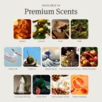 Drift Car Air Freshener - Stone Air Freshener Car Odor Eliminator - Long Lasting Scent - Auto Accessories - Metal Clip - Essential Oils - Clean Ingredients - Open Air Scent Starter Kit - Image 3