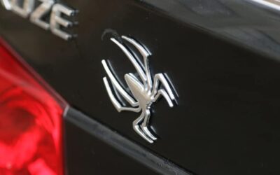 2PCS 3D Spider Emblem Car Sticker Metal Chrome Silver Spider Badges Sticker for Universal Car Vehicle, Truck, Motorcycle, RV, Scooter, SUV, Door, Window for Headphone Decorations(Silver-B0C22ZMFK8) - Image 5