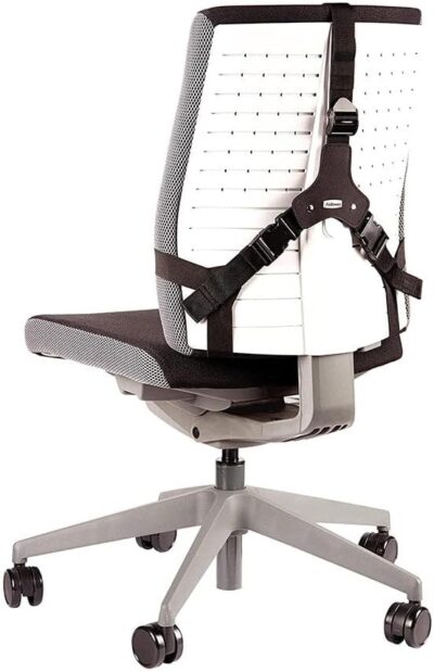 Fellowes Professional Series Back Support - Image 2