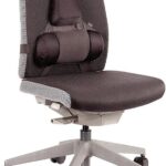 Fellowes Professional Series Back Support