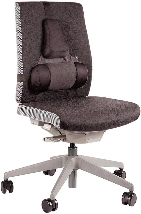 510ugcmsV6L._AC_SL1000_.jpg Fellowes Professional Series Back Support - Image 1