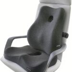 Seat Cushion and Lumbar Support Pillow Set, Sciatica Relieving Coccyx Cushion,hemorrhoid Cushion,Chair Back Support,Ergonomic Cushion&Pillow,Office Chair Cushions for Back and Butt(Dark Grey)