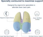 C CUSHION LAB Extra Dense Lumbar Pillow - Patented Ergonomic Multi-Region Firm Back Support for Lower Back Pain Relief - Lumbar Support Cushion with Strap for Office Chair, Car, Sofa, Plane - Black - Image 3