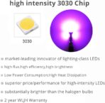 WLJH T5 17 37 74 2721 Pink Dashboard Gauge Instrument Cluster Panel Dash Led Light Lamp With Twist Lock Socket,Pack of 6 - Image 4