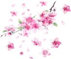 2 Sheets Cherry Blossom Car Decal, Cherry Blossom Vinyl Car Sticker Scratches Stickers Cars Decoration Vinyl Waterproof Sticker Flower Decals for Cars, Laptop, Wall, Window, Luggage and Bumper - Image 8