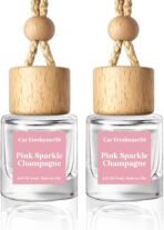HoogaLife Car Air Freshener Diffuser 2 Pack Hanging Air Freshener Diffuser - Pink Sparkle Champagne Fragrance Oil Air Diffuse r for Car, 45+ Days Long Lasting Fragrance Made in USA (P38)