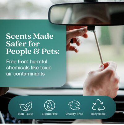 Enviroscent Non-Toxic* Car Air Freshener Auto Stix® - Scents Made Safer - Enjoy Fragrance Lasts Up to 180 Days - Includes Auto Stix® Diffusers & Elastic Loops - Seaside Coconut & Verbena (Pack of 3) - Image 2