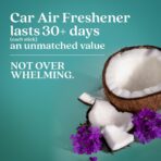 Enviroscent Non-Toxic* Car Air Freshener Auto Stix® - Scents Made Safer - Enjoy Fragrance Lasts Up to 180 Days - Includes Auto Stix® Diffusers & Elastic Loops - Seaside Coconut & Verbena (Pack of 3) - Image 4