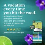 Enviroscent Non-Toxic* Car Air Freshener Auto Stix® - Scents Made Safer - Enjoy Fragrance Lasts Up to 180 Days - Includes Auto Stix® Diffusers & Elastic Loops - Seaside Coconut & Verbena (Pack of 3) - Image 3