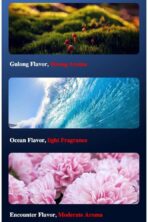 Solar Car Air Freshener, Helicopter Solar Energy Rotating Aromatherapy Aroma Diffuser Long Lasting Fragrance Perfume Car Accessories Cars Interior Decoration Ornament (Silver/Red/Black) - Image 8