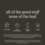 Drift Car Air Freshener - Stone Air Freshener Car Odor Eliminator - Long Lasting Scent - Auto Accessories - Metal Clip - Essential Oils - Clean Ingredients - Pine Scent Starter Kit - Image 6