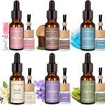 12 Pack Car Air Freshener & Refills, 6-Scent Hanging Air Freshener Diffuser Set -Each(8ml +20ml Refill), Essential Oil Diffuser With Refill Bottles, Reusable Car Fragrance Decor Accessories