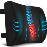 Niceeday Lumbar Support Pillow for Office Chair Car, Gaming Chair Lower Back Pain Relief Memory Foam Cushion with 3D Mesh Cover Ergonomic Orthopedic Back Rest Lower Back Support