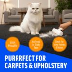 ChomChom Roller & Rake – Reusable Pet Hair Removal Roller with Rake Attachment for Cat & Dog Fur on Furniture, Couch, Carpet, Car, Rugs, Bedding & More– Portable, Eco-Friendly - Image 5