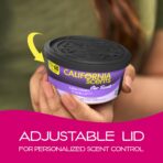 California Scents Can Air Freshener and Odor Neutralizer, Set of 12 Spillproof Cans for Home and Car, Assorted Scents, 1.5 Oz Each (Packaging May Vary) - Image 4