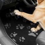 Cute Embroidered Dog Paw Car Floor Mats for Pet Lovers, Universal Fit All Weather Car Mats with Anti-Slip Nibbs Backing, Carpet Floor Mats for Cars, Trucks & Sedans, Full Set of 4 (Gray Paw)