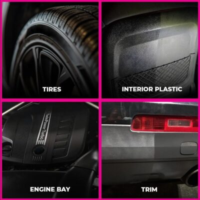 Legendary Gloss Dressing with Applicator 16oz - Tire Shine Spray & Plastic Restorer – Water Based & Non-Greasy Interior/Exterior Detailing Spray - Trim, Rubber, Vinyl & Plastic Restorer for Cars - Image 2