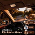 Car Air Freshener - Wood Air Freshener-Teak Amber Cabana Variety Scent Refill - Long Lasting Natural Car Fresheners - Clip Included - Image 4