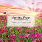 LITTLE TREES Car Air Freshener | Hanging Paper Tree for Home or Car | Morning Fresh | 3 Pack - Image 4