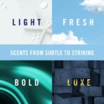 Febreze Car Vent Clip, Downy Calm Scent, 2 Count, 0.13 oz Total - Image 8