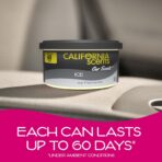 California Scents Can Air Freshener and Odor Neutralizer, Set of 12 Spillproof Cans for Home and Car, Assorted Scents, 1.5 Oz Each (Packaging May Vary) - Image 3