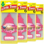 LITTLE TREES Car Air Freshener | Hanging Tree Provides Long Lasting Scent for Auto and Home | 24 Air Fresheners |Morning Fresh
