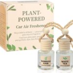 Essential Oil Car Air Freshener 2-Pack, Hanging Auto Diffuser for Rearview Mirror, Clean & Fresh Aesthetic Interior Decor Accessories (Bamboo Rain & White Tea) Inspired by Westin Hotel