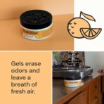 Fresh Wave Orange Odor Removing Gel, 7 oz., Pack of 3 - Image 6