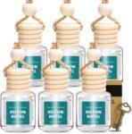 AROIC Premium Scent Car Air Freshener, 6 Pack Hotel Scent Collection Diffuser Set, Long Lasting Luxury Fragrance Essential Oil Aromatherapy, Hanging Air Freshener for Car Interior Accessories Unisex
