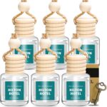 AROIC Premium Scent Car Air Freshener, 6 Pack Hotel Scent Collection Diffuser Set, Long Lasting Luxury Fragrance Essential Oil Aromatherapy, Hanging Air Freshener for Car Interior Accessories Unisex