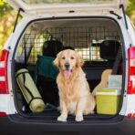 HAITRAL Universal-Fit Barrier,Adjustable Dog Barrier for SUVs,Cars,Trucks,Heavy-Duty Wire Mesh Guard Pet Divider,Back Seat Dog Separator Gate for Cargo Area,Safety Car Travel Accessories - Image 7