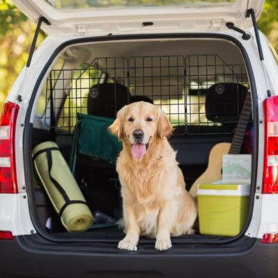 HAITRAL Universal-Fit Barrier,Adjustable Dog Barrier for SUVs,Cars,Trucks,Heavy-Duty Wire Mesh Guard Pet Divider,Back Seat Dog Separator Gate for Cargo Area,Safety Car Travel Accessories - Image 7