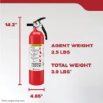 Kidde, FA110G, Multi Purpose Fire Extinguisher for Home, Office, Dorm, Residential, 1A10BC - Image 8