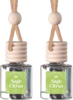 C&E Craft Co Hanging Car Air Freshener Diffuser 2 Pack, Long Lasting Fragrance Oil Car Freshener, Glass Bottle Auto Air Freshener, Made in USA (Sage Citrus)