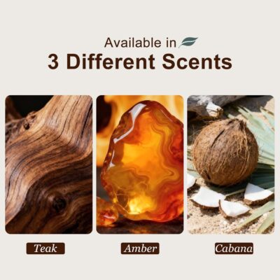Car Air Freshener - Wood Air Freshener-Teak Amber Cabana Variety Scent Refill - Long Lasting Natural Car Fresheners - Clip Included - Image 2