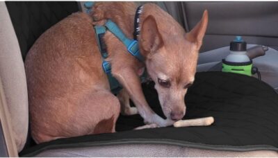 FH Group Car Seat Cushion – Neosupreme Single Front Seat Cover with Front Pockets, Airbag Compatible, Universal Fit Car Seat Cushion for Driver or Passenger Seat, SUV, Truck, Sedan & Van – Black - Image 7