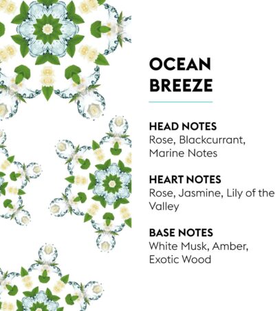 Maison Berger Luxury Car Diffuser Refill Set – Ceramic Inserts for Vent Clip Diffusers, 4-Week Passive Diffusion, Premium In-Car Fragrance Refill, Made in France (Ocean Breeze) - Image 4