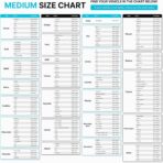 FORTEM Car Sun Shade for Windshield, Reflective Windshield Sunshade, 240T Polyester, Automotive Interior Sun Protection, Ultimate Heat and UV Shield, Foldable, Storage Bag - Image 4