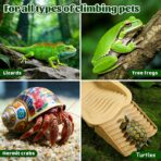 Reptile Swimming Pool 2-in-1 Turtle Bathtub Balcony Climbing Pet Water Basin with External Ramp and Ladder, Suitable for Geckos Snakes Turtles Chameleons Lizards Climbing and Shower (Brown Yellow) - Image 3