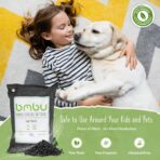 1000g Large Bamboo Charcoal Air Purifier Bag - Car Deodorizer Freshener - Remove Odor and Control Moisture in Your RV, Camper, SUV, Truck, Closet, Mobile Home, Storage - Non fragrant 1kg - Image 8