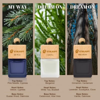 Car Air Freshener Hanging 3 Pack - 1 Way, Dream On, Cabana Hotel Collection Diffuser Oil Inspired The One Hotel, Car Fresheners for Women & Men, 45+ days Long Lasting, 0.27 FL OZ/8ML - Image 3