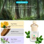 Essential Oil Car Air Freshener 2-Pack, Hanging Auto Diffuser for Rearview Mirror, Long Lasting Aesthetic Interior Decor Accessories (Teak Wood+Black Ice) - Image 7