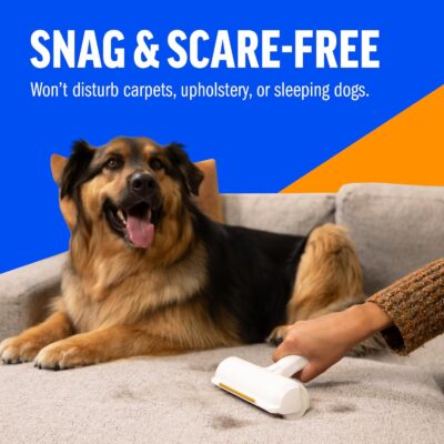 ChomChom Roller & Rake – Reusable Pet Hair Removal Roller with Rake Attachment for Cat & Dog Fur on Furniture, Couch, Carpet, Car, Rugs, Bedding & More– Portable, Eco-Friendly - Image 4