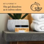 Fresh Wave Orange Odor Removing Gel, 7 oz., Pack of 3 - Image 3