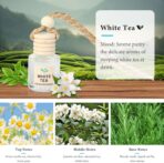 Essential Oil Car Air Freshener 2-Pack, Hanging Auto Diffuser for Rearview Mirror, Clean & Fresh Aesthetic Interior Decor Accessories (Bamboo Rain & White Tea) Inspired by Westin Hotel - Image 7
