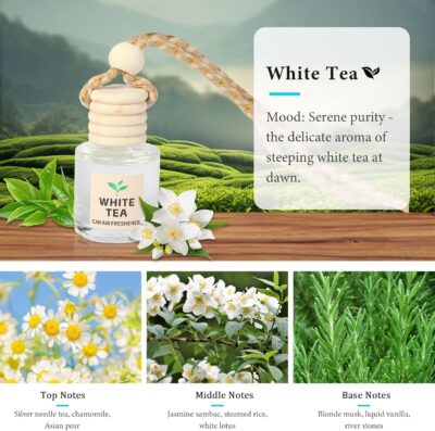 Essential Oil Car Air Freshener 2-Pack, Hanging Auto Diffuser for Rearview Mirror, Clean & Fresh Aesthetic Interior Decor Accessories (Bamboo Rain & White Tea) Inspired by Westin Hotel - Image 7
