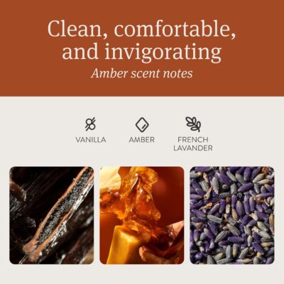 Drift Car Air Freshener - The Original Wood Air Freshener - Car Odor Eliminator - Long Lasting Scent - Auto Accessories - Metal Clip - Essential Oils - Clean Ingredients - Amber Scent Starter Kit - Image 3